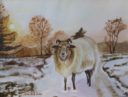 Schaap in de winter - C1401